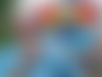 VITRAIL- souvenir breton