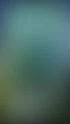 vitraux dans des teintes différentes