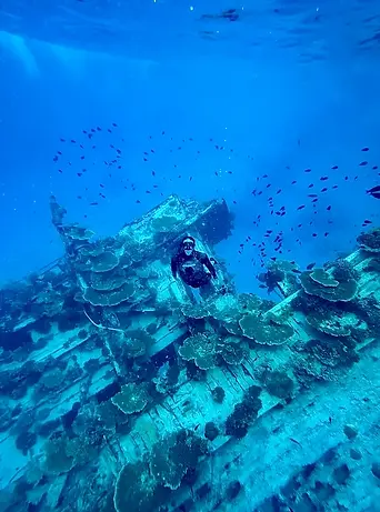 Mattia Melegari alle Maldive durante uno snorkeling al relitto di una nave sommersa, circondato da pesci tropicali e coralli colorati.