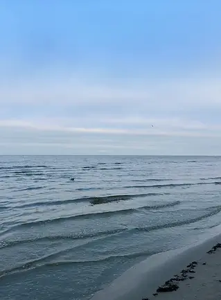 Mar Baltico in inverno, superficie scura e ondulata sotto luce fredda, atmosfera essenziale e paesaggio nordico.