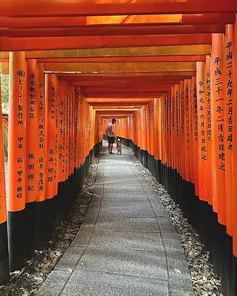 Mattia Melegari e i primi passi di suo suo figlio lungo il sentiero dei torii del Fushimi Inari