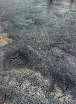 Dettaglio di un laghetto ghiacciato nel Kemeri Bog, superficie sottile di ghiaccio e vegetazione di torbiera