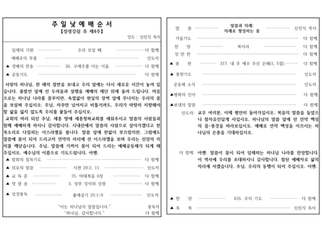 2025년 성령강림 후 제4주 주보