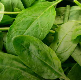 6 TASTY WAYS TO ADD MORE GREENS TO YOUR DIET.
