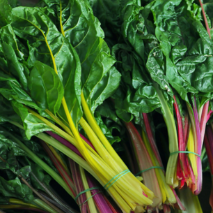 THE BEST NUTRIENTS FOR BONE HEALTH