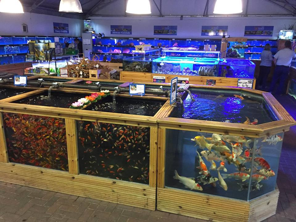 Fishkeeper Inverness Fishkeeper Scotland