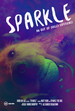 Sparkle Poster Final_Alexander Digiacomo