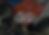 Die Cut  wide.png