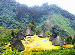 indo nature 4_edited.jpg