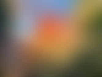 自然の中で散歩