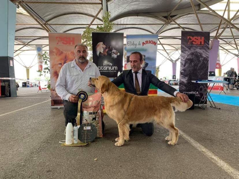 Monográfica B del CER – "Copa Mediterránea 2019"