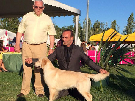 Exposición Canina de Lisboa 2014