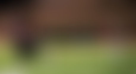 Bastrop's beautiful season ends at region in final 22 seconds