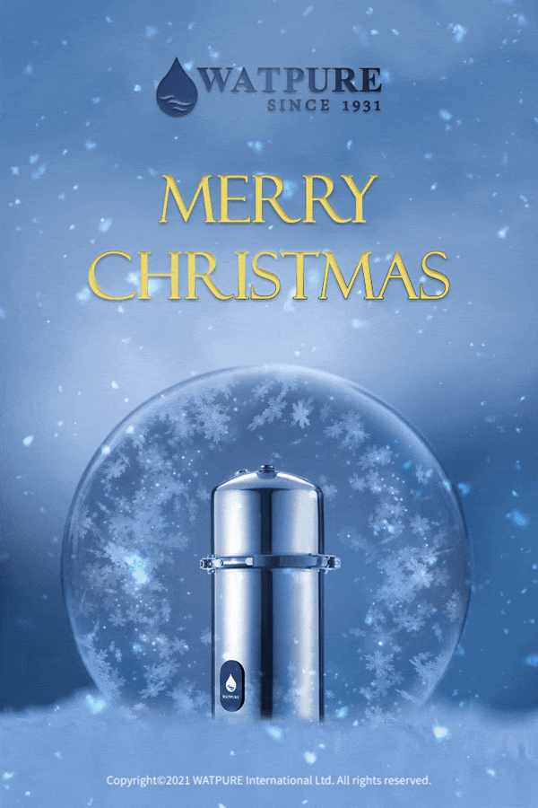 christmas card4.gif