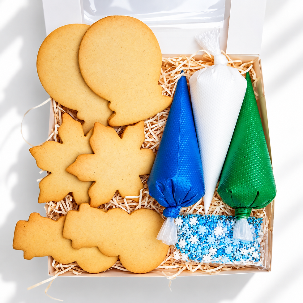 Winter cookie decorating kit with handmade biscuits and icing