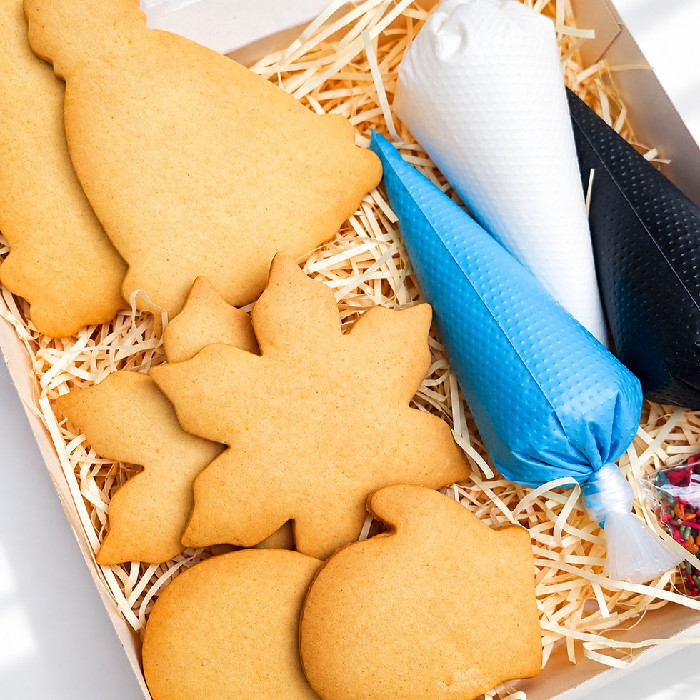 Winter biscuit decorating box with icing and sprinkles