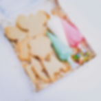 mothers day biscuit decorating kit