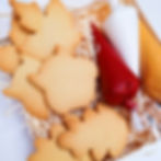 autumn cookie craft kit