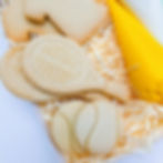 Summer Cookie Decorating Kit