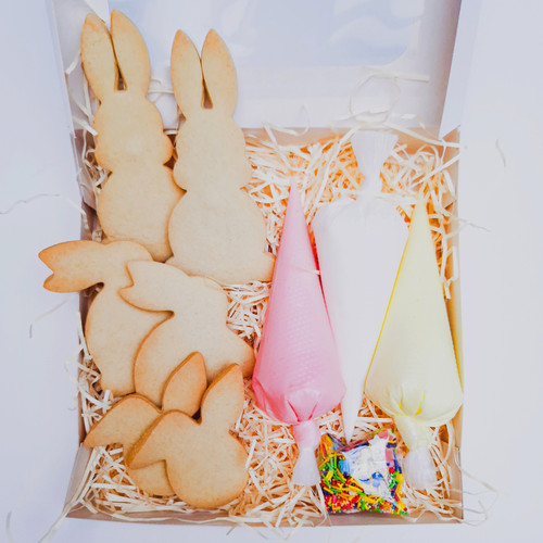Hoppily Ever After Easter Cookie Decorating Kit The Mini Baker S Box
