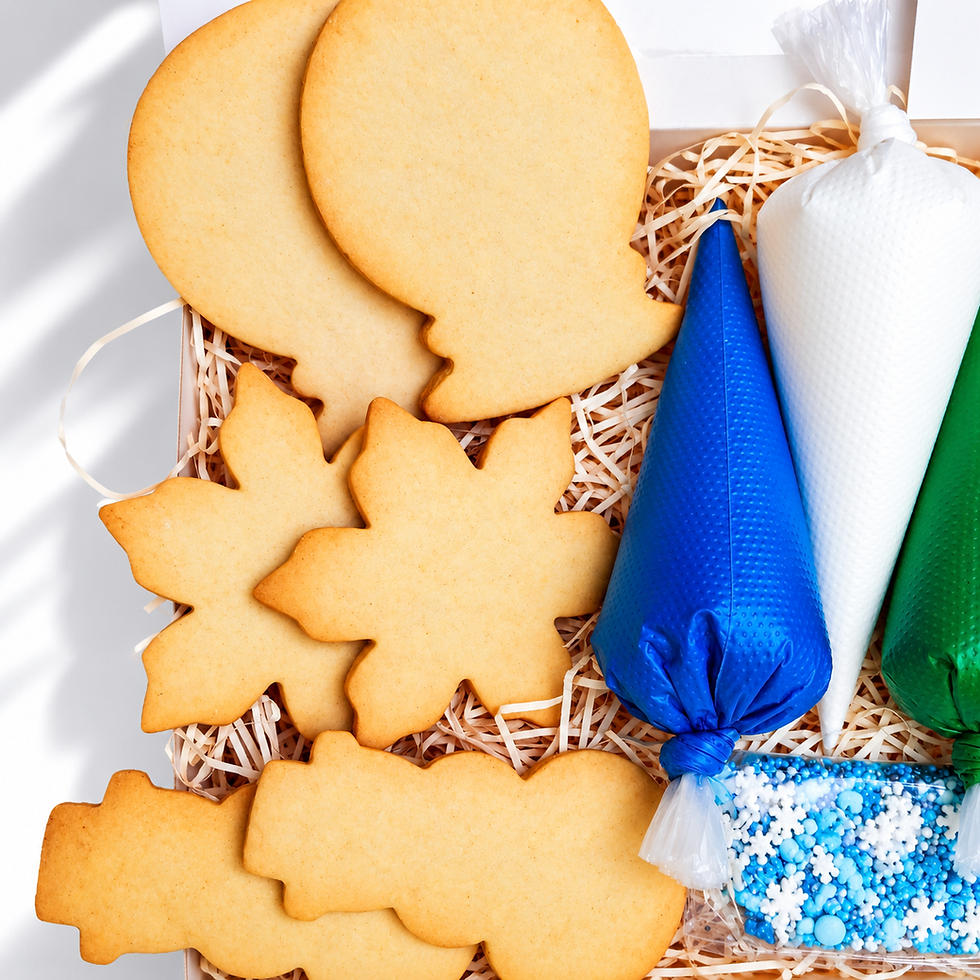 Winter biscuit decorating kit with colourful royal icing