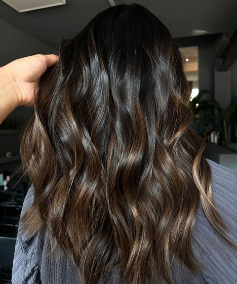 Winnipeg Hair Salon