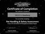 Pet-Handling-and-Safety-Certificate.jpg