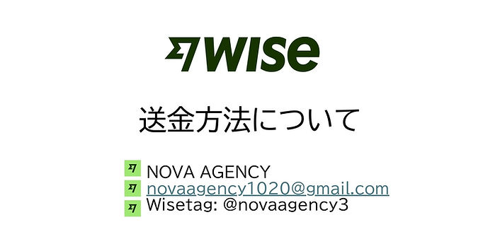 Wise 메뉴얼.pptx.jpg