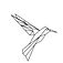 BIRD.jpeg