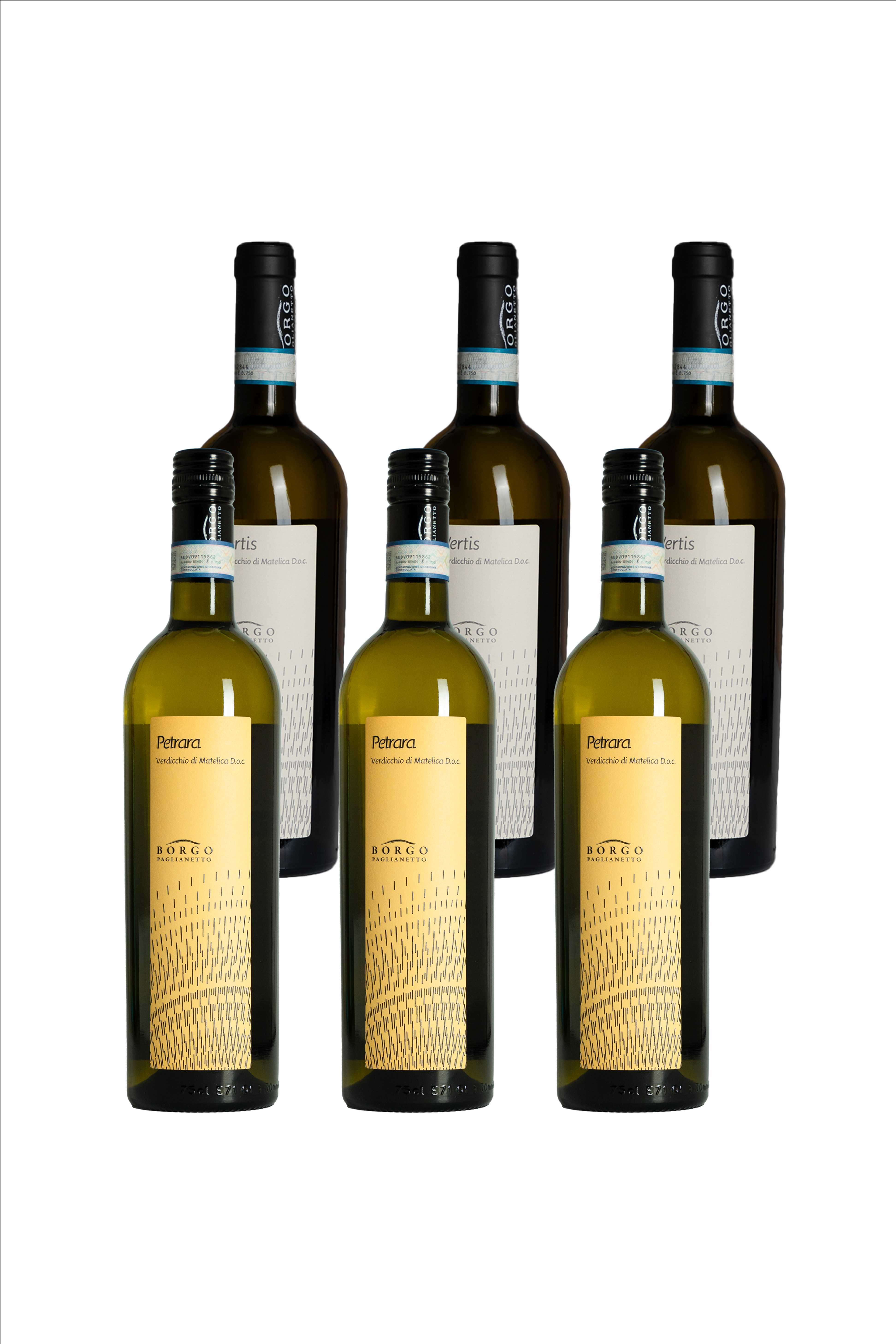 SFUMATURE DI VERDICCHIO