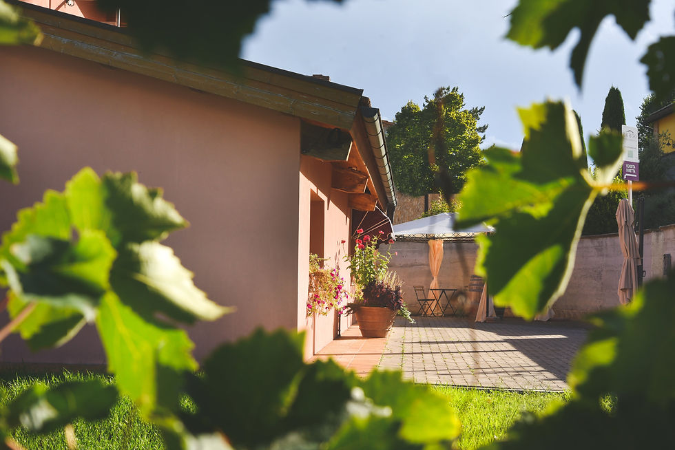 Borgopaglianetto Matelica Verdicchio Cantine Vigna Degustazioni Vino