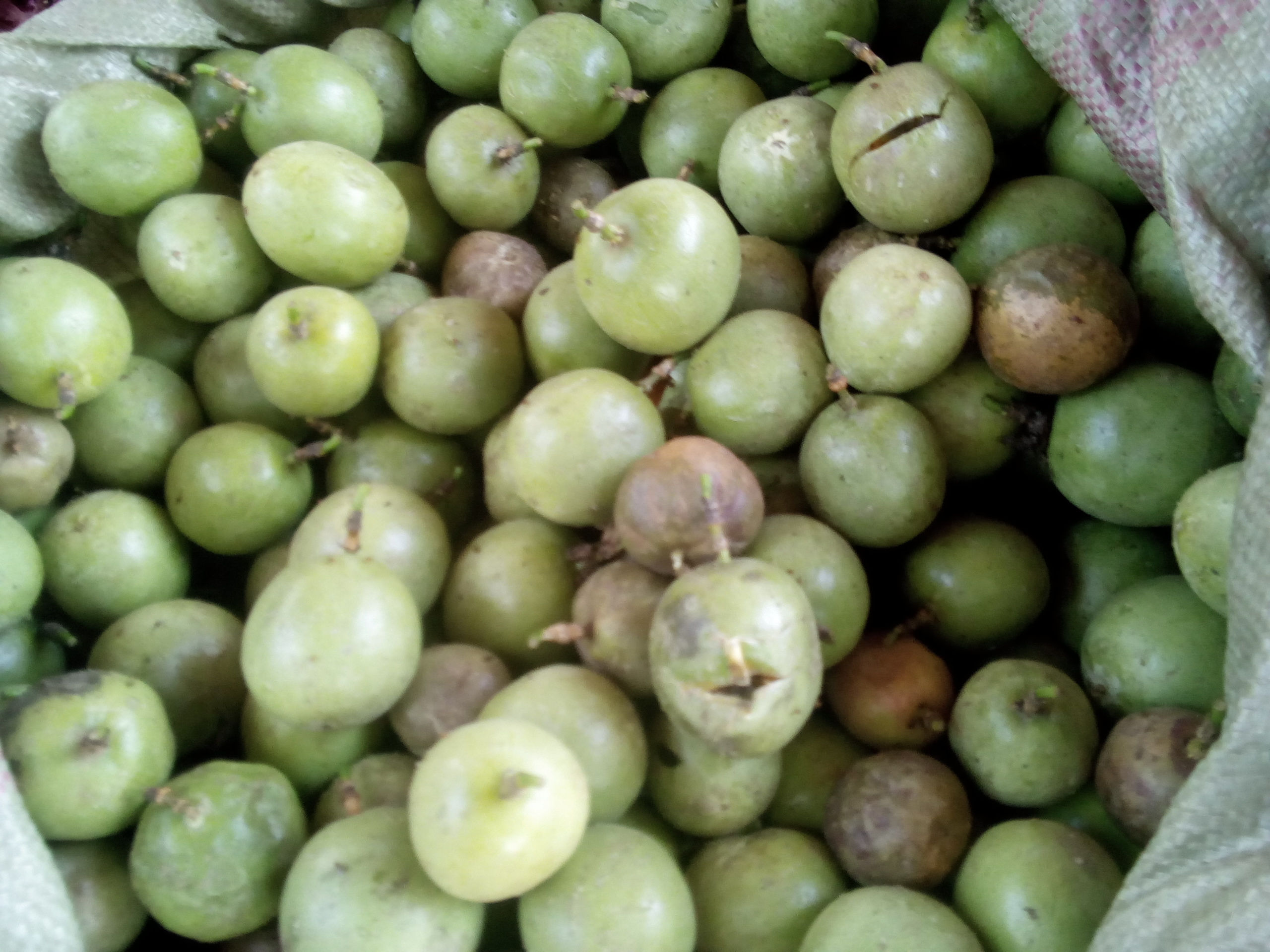 Passion fruits