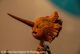 Guillermo del Toro's Pinocchio