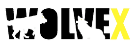 logotransp.png