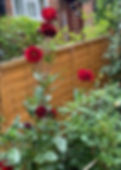 Well maintained garden