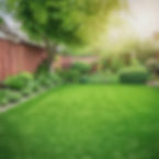 a lush green garden lawn in a back yard_edited.jpg