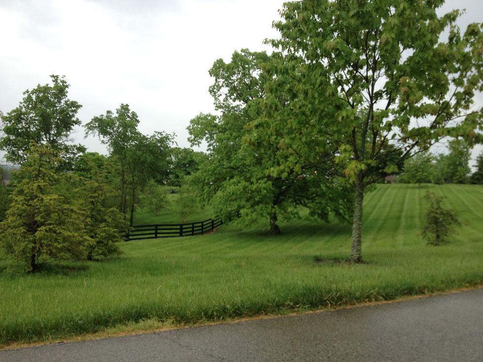 Grand Dell in May