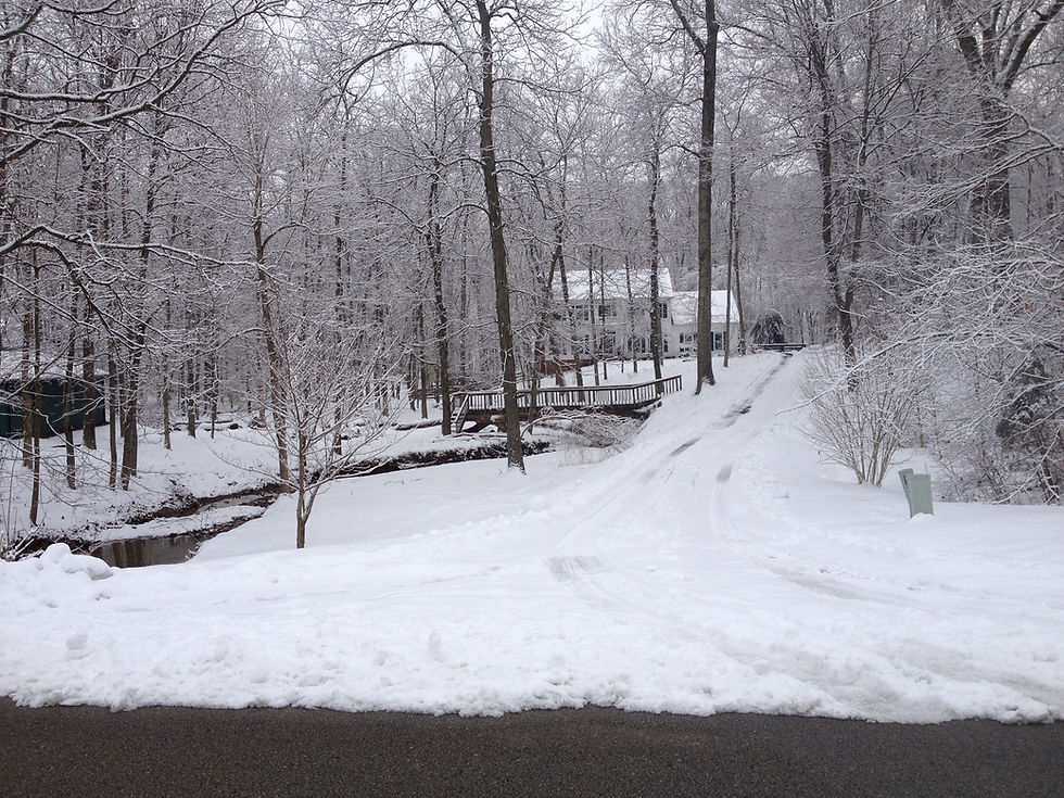 Winter Scene