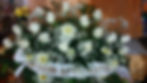 centro rosas y anastasias