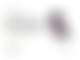 Samsung Z Flip接受预订