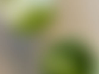 A long wait crafted in Green:Tea Story’s upcoming matcha chapter.