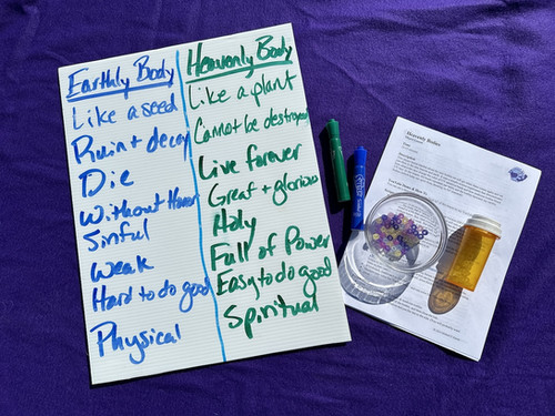 Heavenly Bodies (OBJECT LESSON) | TeachingThem.org