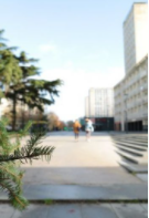 Le quartier ne fait pas le collège