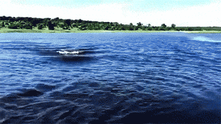 efQqxY165649_4241664.gif