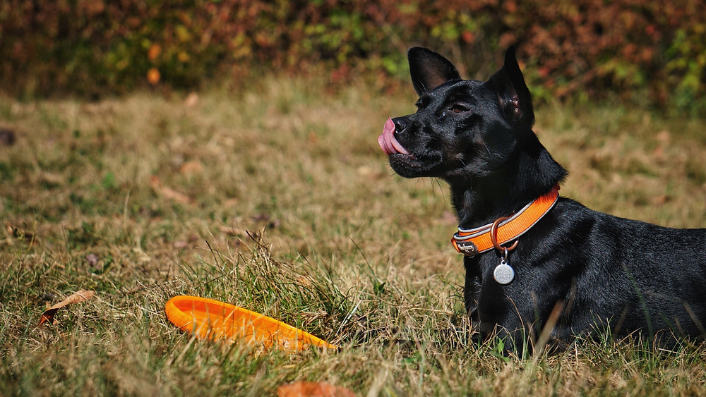 Theres always time for some disc.