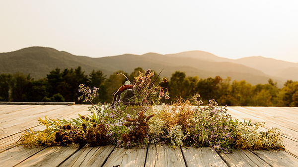 Decorative image of flowers and mountains.