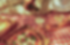northslice_edited.png
