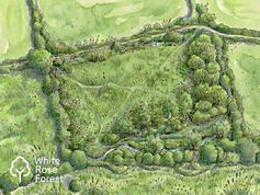 First major planting 