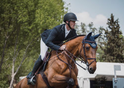 lgct 2018