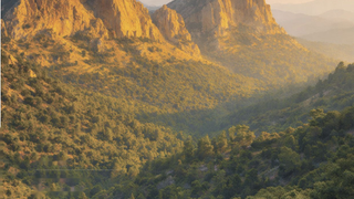 Проверка на прочность: обзор экономики Израиля за 2025 год и прогноз на 2026